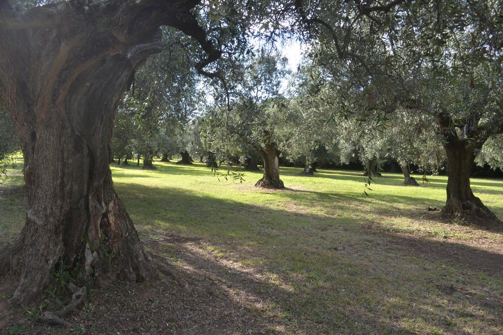 Villa La Cipriana à Castagneto Carducci Extérieur photo